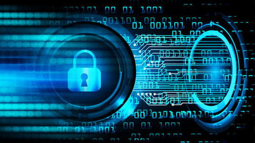 網(wǎng)絡(luò)安全信息收集知識大總結(jié) 從防護(hù)到開發(fā)實(shí)踐